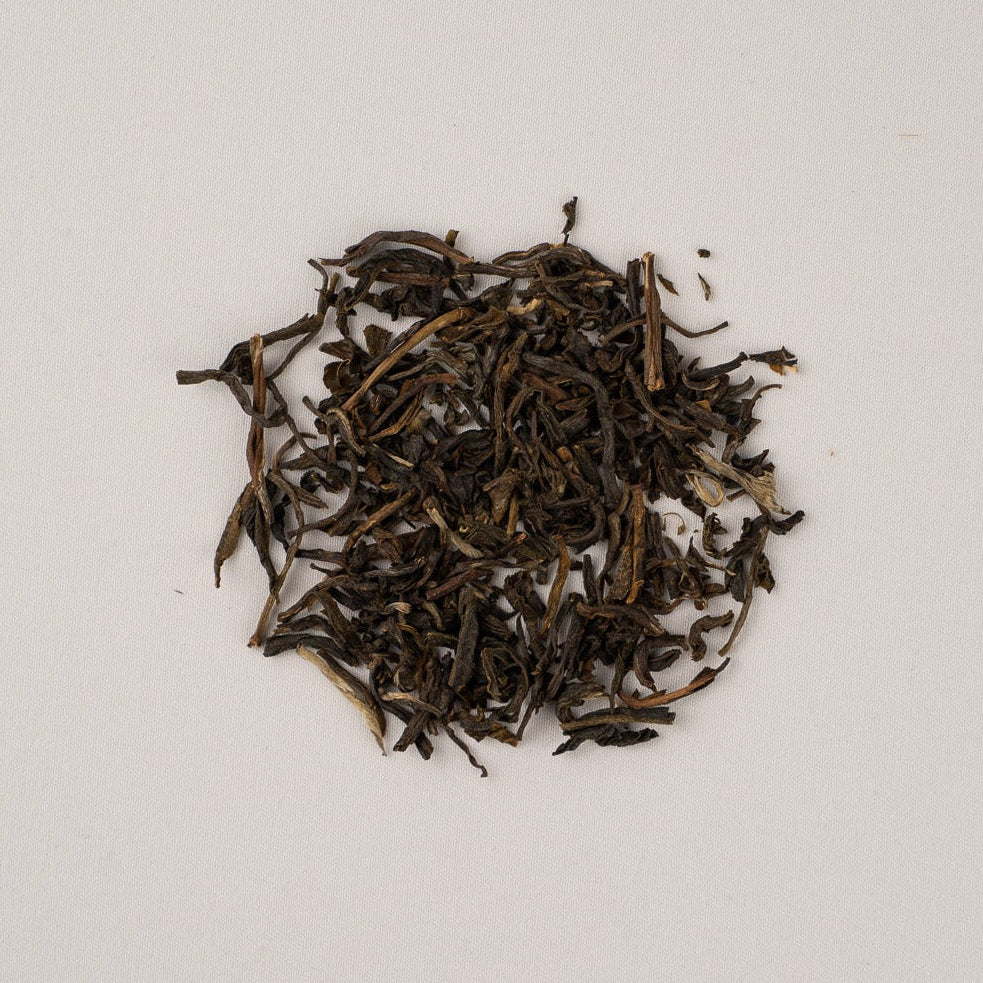 Jasmine Snow Bud